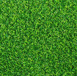 Synthetic grass
